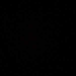 Meet your Posher, Tyshawn